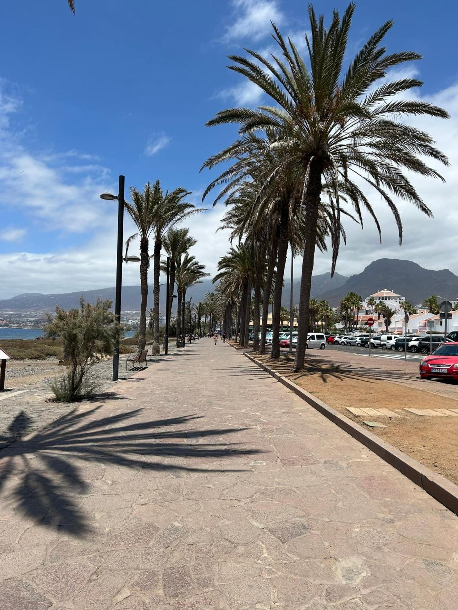 Parque Santiago 1 Lovely Apartment Playa de las Americas  Exterior foto